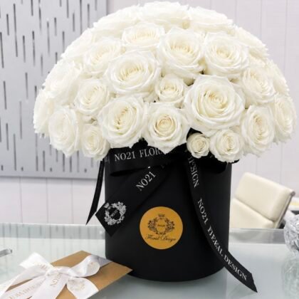White Elegance