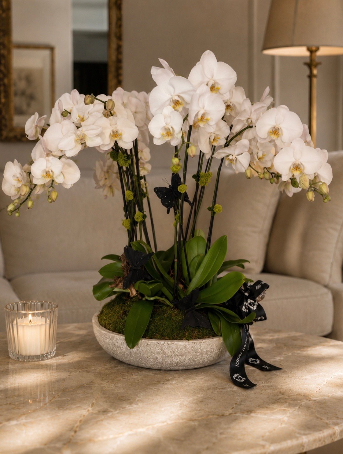 the Grand White Orchid
