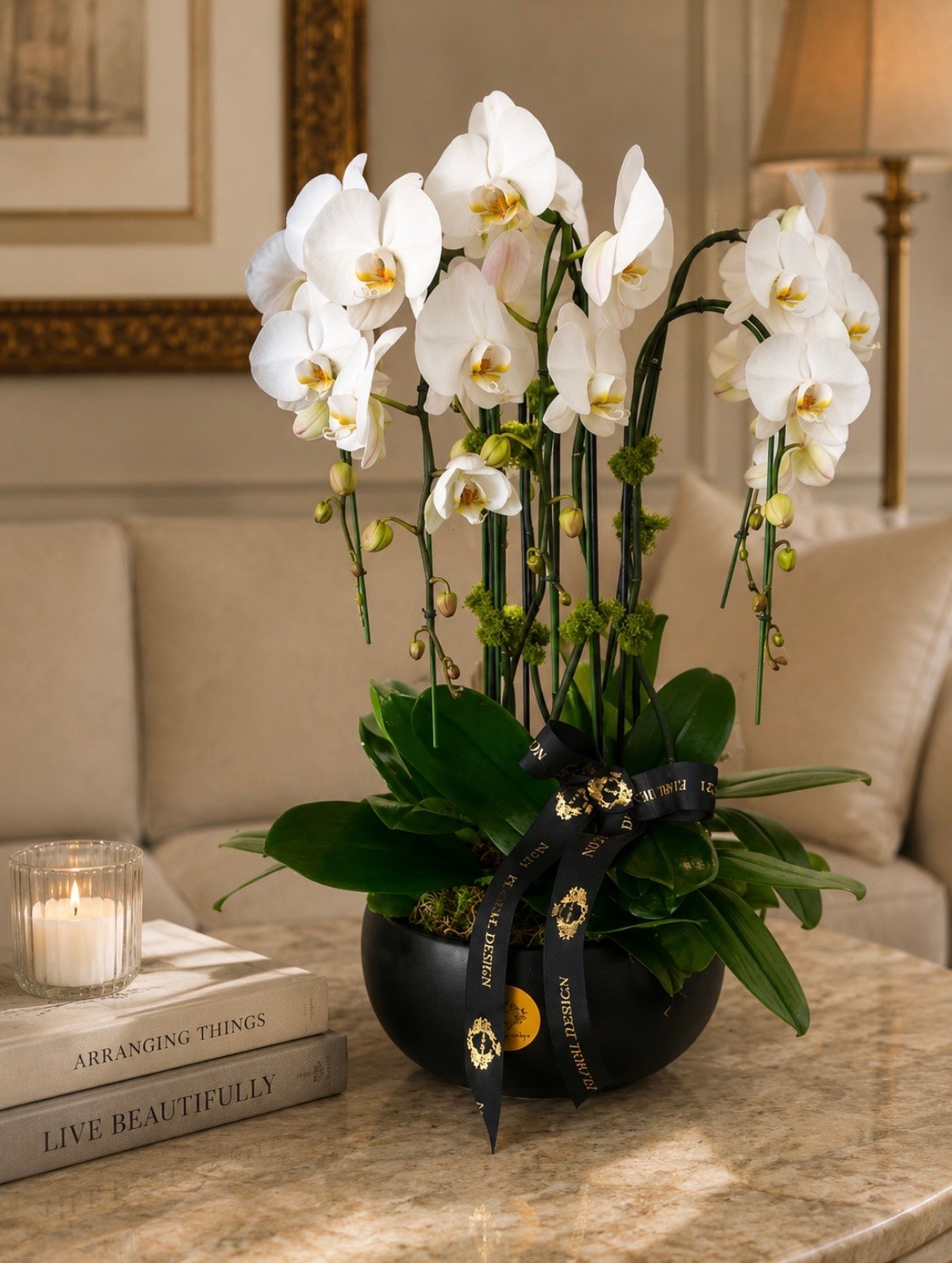 Elegance Orchid