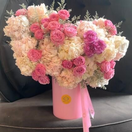 Blushing Hydrangea