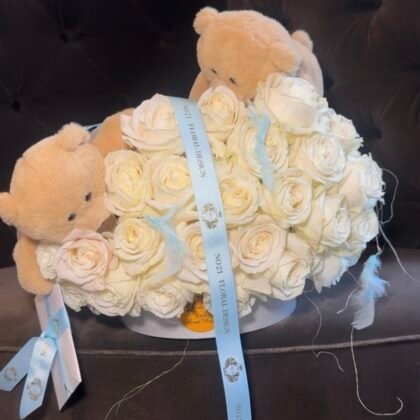 Teddy Bear CLoud